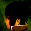 Sasuke Fire: Animated LWP